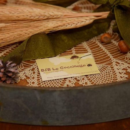 B&B Le Coccinelle Torre Bormida Bagian luar foto