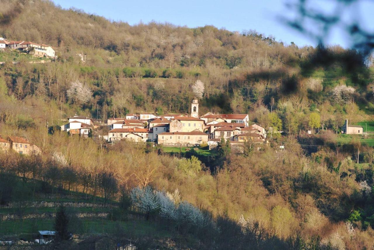 B&B Le Coccinelle Torre Bormida Bagian luar foto