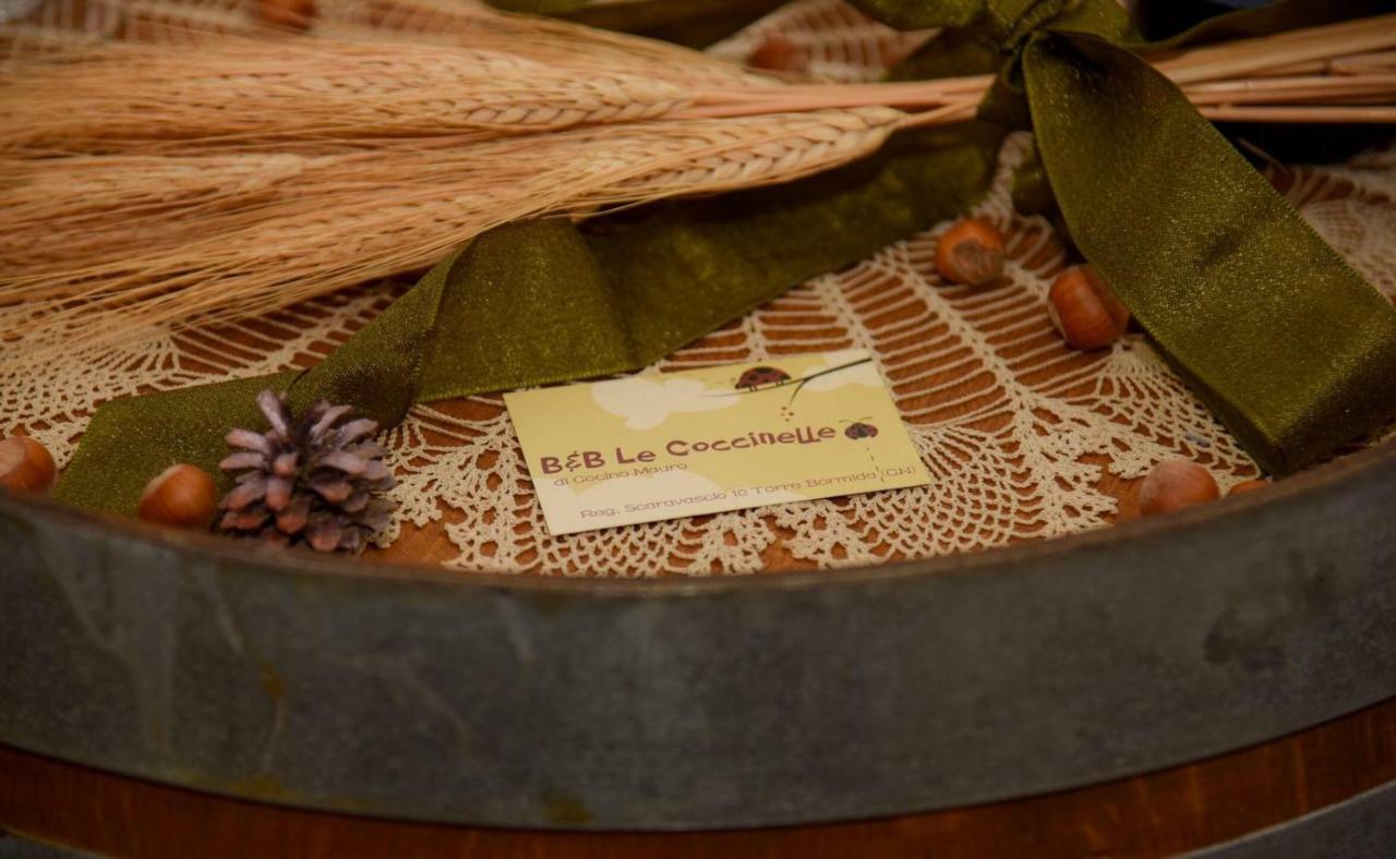 B&B Le Coccinelle Torre Bormida Bagian luar foto